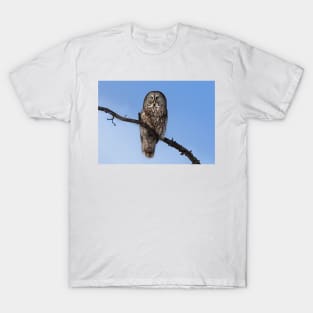 Great Grey owl sits in his perch T-Shirt